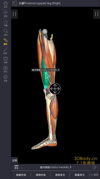 3Dbody解剖手机版下载,官方正版app下载安装