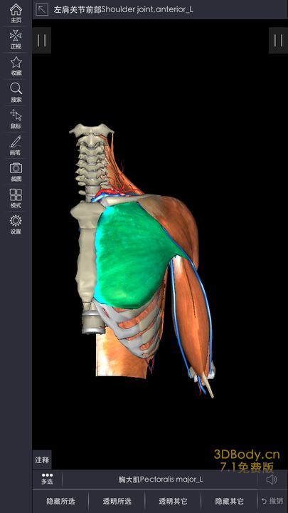 3Dbody解剖手机版下载,官方正版app下载安装