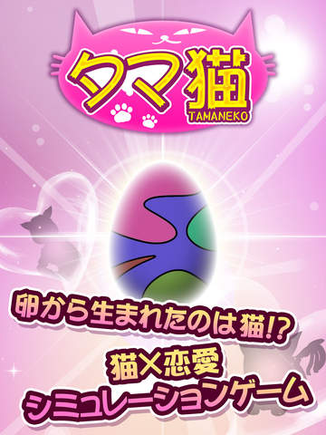 蛋蛋猫安卓版游戏截图1