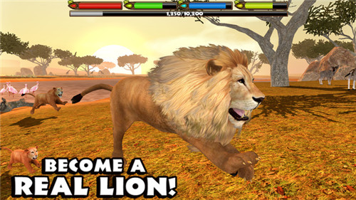 终极狮王模拟器ios版游戏截图1