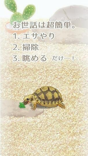 治愈的海龟育成安卓版游戏截图2
