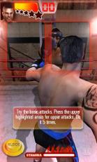 铁拳拳击手机版游戏截图3