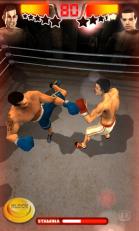 铁拳拳击手机版游戏截图4