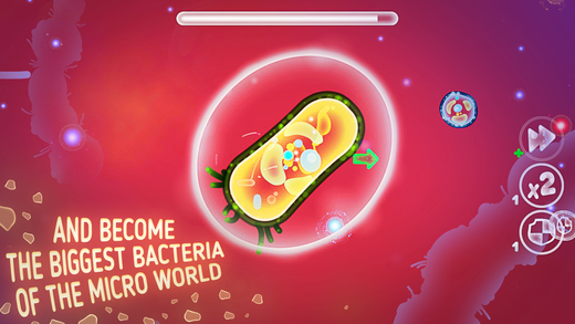 细菌生存电脑版游戏截图4