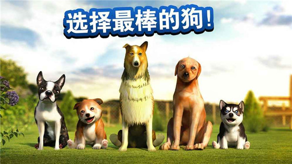 模拟狗狗中文版游戏截图3