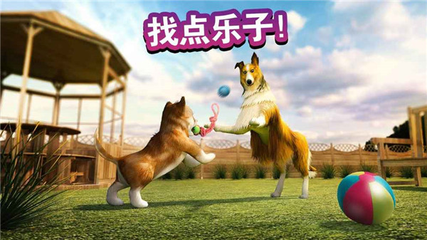 模拟狗狗中文版游戏截图6