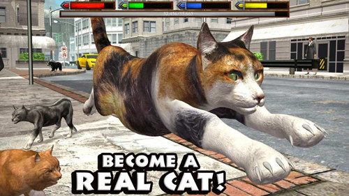 终极猫咪模拟中文版游戏截图1