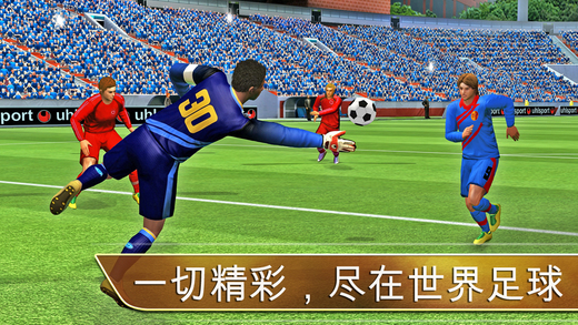 世界足球2013ios版游戏截图2