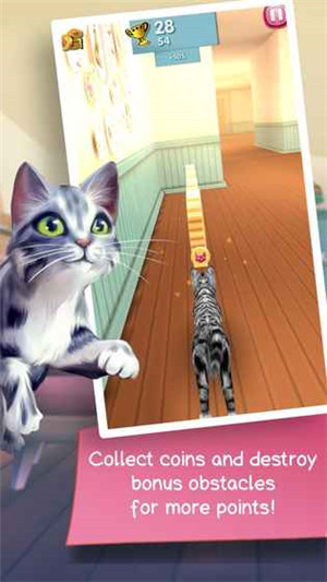 猫咪跑酷安卓版游戏截图3