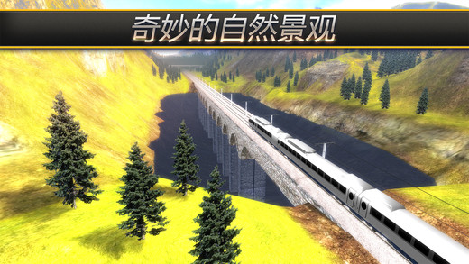 模拟火车3D游戏截图3