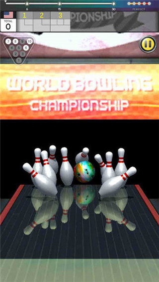 世界保龄球锦标赛安卓版截图-1
