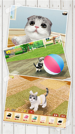 心动小猫安卓版游戏截图2