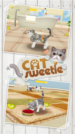 心动小猫安卓版游戏截图3