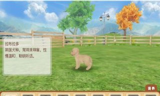 心动小狗中文版游戏截图3