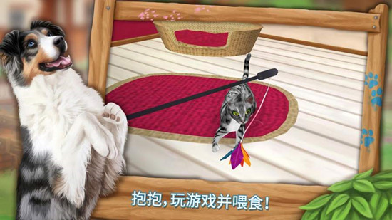 我的动物寄养所中文版游戏截图2