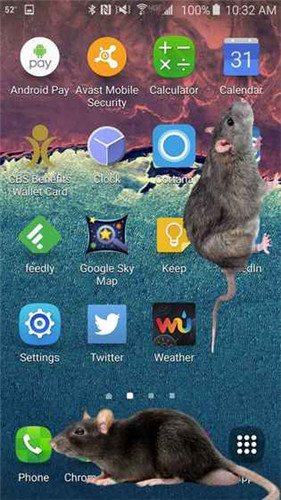 大鼠在屏幕上安卓版游戏截图2
