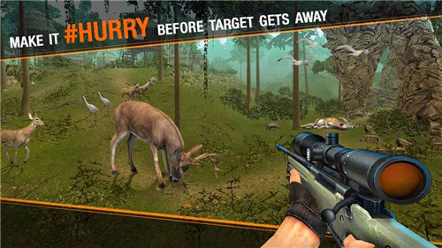 鹿狩猎狙击手游戏截图1