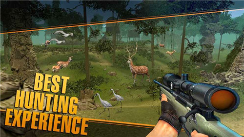 鹿狩猎狙击手ios版游戏截图5