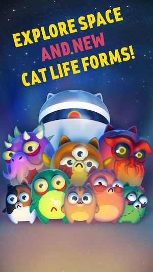 空间猫的演变中文版游戏截图4