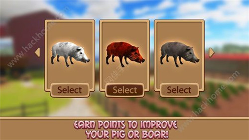 家猪模拟器的生活免费版游戏截图1