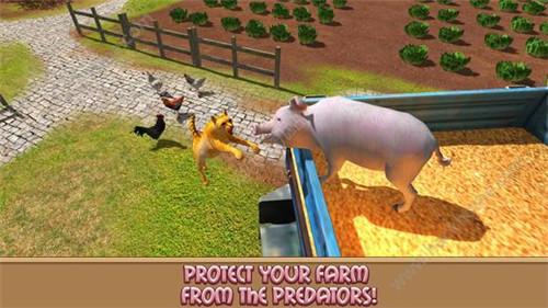家猪模拟器的生活ios版游戏截图3