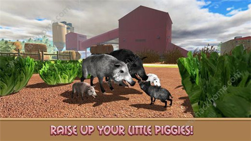 家猪模拟器的生活ios版游戏截图4