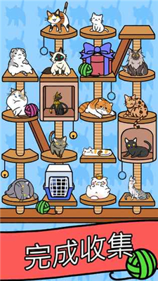 猫咪公寓官方版游戏截图1