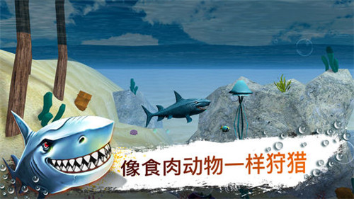 鲨鱼模拟器3Dios版游戏截图1
