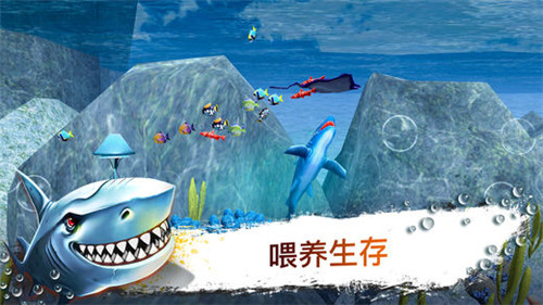 鲨鱼模拟器3Dios版游戏截图2