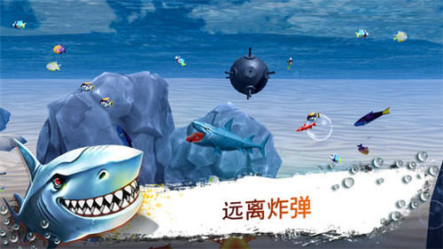 鲨鱼模拟器3Dios版游戏截图3