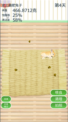 治愈兔兔养成官方版游戏截图2