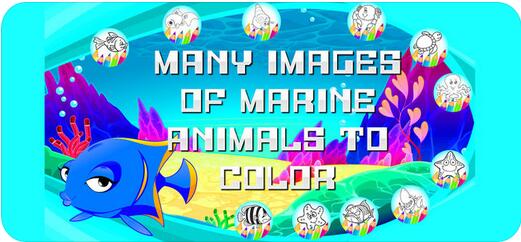鱼和海洋动物画最新版游戏截图2