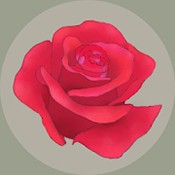 玫瑰花园ios版