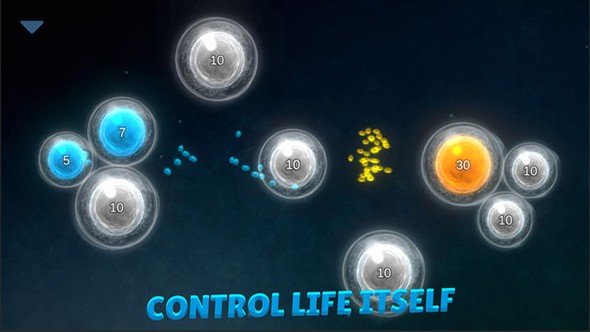 细菌起源2：噬菌体的进化游戏截图3