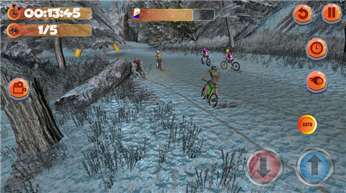 真实山地自行车2游戏截图4