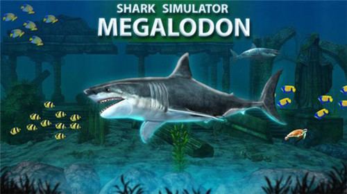 鲨鱼模拟器巨齿鲨破解版游戏截图1
