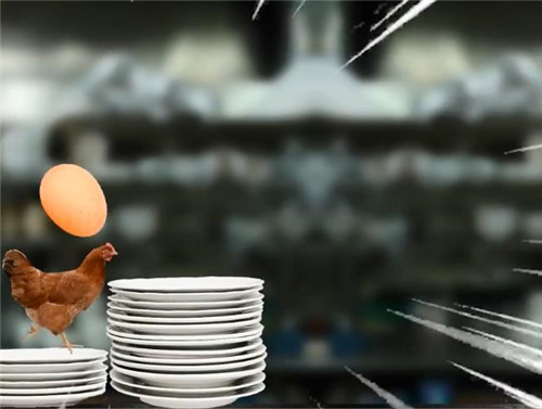 护送鸡蛋模拟器游戏截图3