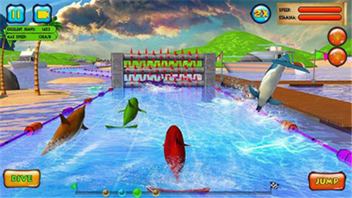 海豚比赛3D游戏截图1