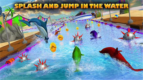 海豚比赛3D游戏截图2