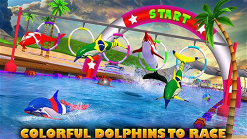 海豚比赛3D游戏截图5