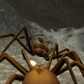 蜘蛛殖民地模拟器破解版