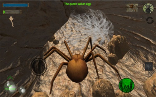 蜘蛛殖民地模拟器破解版游戏截图3