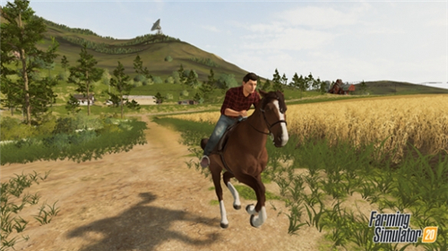 模拟农场20游戏截图4