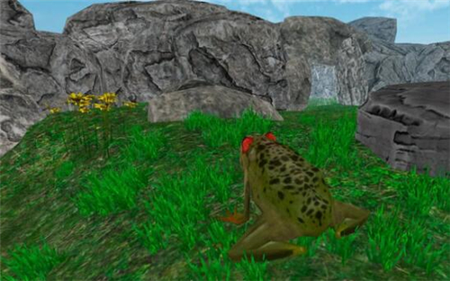雨林青蛙生存模拟游戏截图2