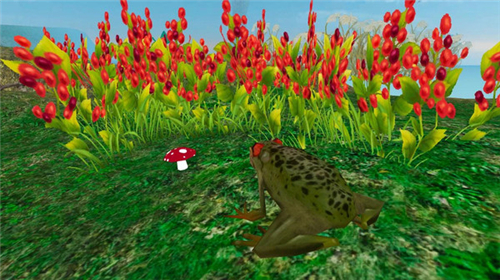雨林青蛙生存模拟游戏截图4