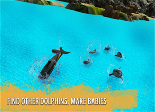 海豚家族模拟器游戏截图3