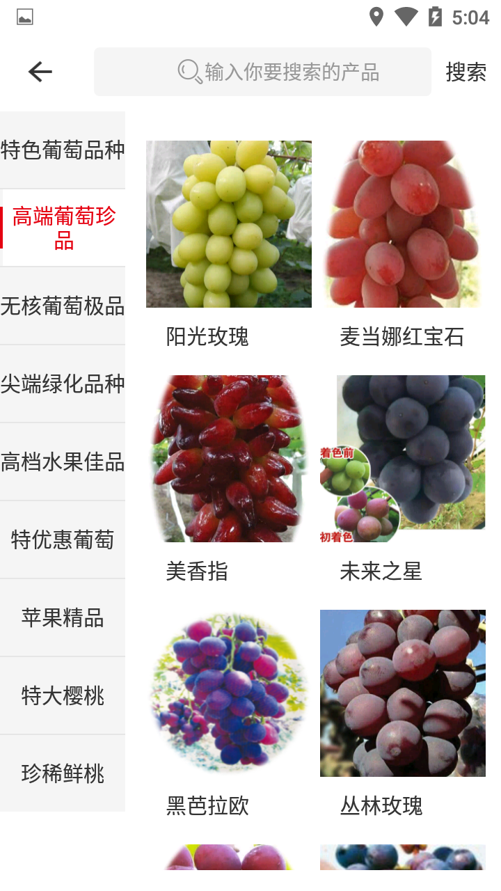 中国果树游戏截图3