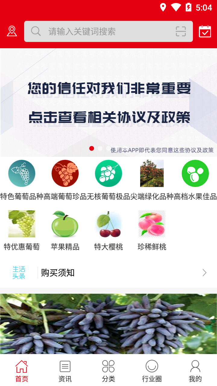 中国果树游戏截图2