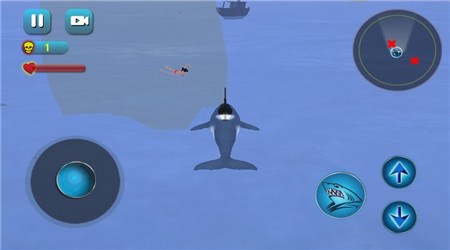 杀人鲸海滩安卓版游戏截图2